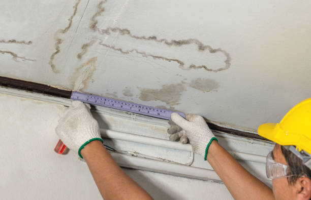 Reliable Water Extraction contractor in Somerville, OH by Water Damage Irwin